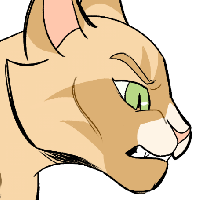 What's your favourite Warrior Cat? : r/WarriorCats